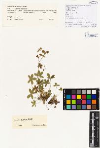 SW_BNB_s3070-00100_IMG-0000000001