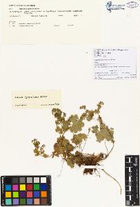 SW_BNB_s3070-00102_IMG-0000000001