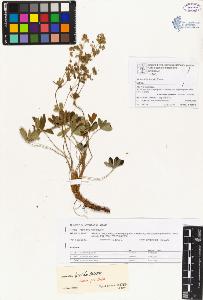 SW_BNB_s3070-00104_IMG-0000000001