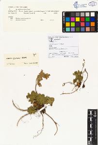 SW_BNB_s3070-00105_IMG-0000000001