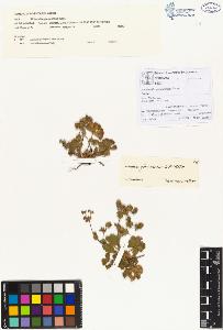 SW_BNB_s3070-00106_IMG-0000000001