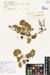 SW_BNB_s3070-00108_IMG-0000000001