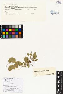 SW_BNB_s3070-00109_IMG-0000000001