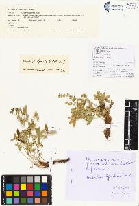 SW_BNB_s3070-00111_IMG-0000000001