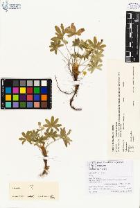 SW_BNB_s3070-00112_IMG-0000000001