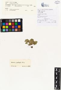 SW_BNB_s3070-00114_IMG-0000000001