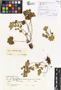 SW_BNB_s3070-00115_IMG-0000000001