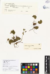 SW_BNB_s3070-00116_IMG-0000000001