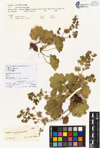 SW_BNB_s3070-00117_IMG-0000000001