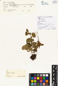 SW_BNB_s3070-00118_IMG-0000000001