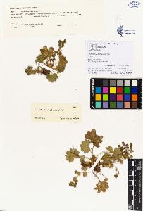 SW_BNB_s3070-00119_IMG-0000000001