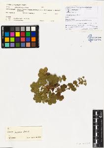 SW_BNB_s3070-00121_IMG-0000000001