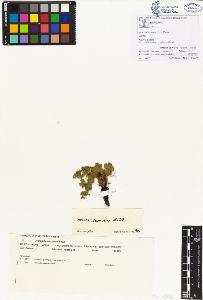 SW_BNB_s3070-00125_IMG-0000000001