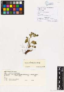 SW_BNB_s3070-00126_IMG-0000000001