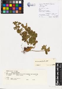 SW_BNB_s3070-00128_IMG-0000000001
