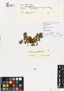 SW_BNB_s3070-00129_IMG-0000000001