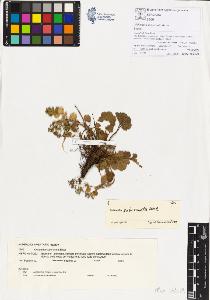 SW_BNB_s3070-00130_IMG-0000000001