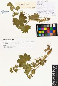SW_BNB_s3070-00131_IMG-0000000001