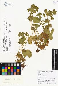 SW_BNB_s3070-00132_IMG-0000000001