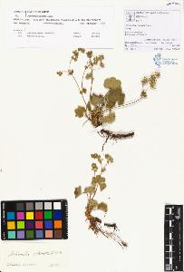 SW_BNB_s3070-00134_IMG-0000000001