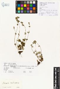 SW_BNB_s3070-00136_IMG-0000000001