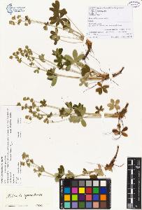 SW_BNB_s3070-00137_IMG-0000000001