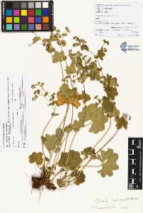 SW_BNB_s3070-00139_IMG-0000000001