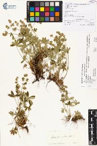 SW_BNB_s3070-00141_IMG-0000000001