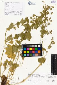 SW_BNB_s3070-00146_IMG-0000000001
