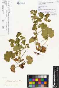 SW_BNB_s3070-00148_IMG-0000000001
