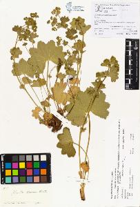 SW_BNB_s3070-00149_IMG-0000000001