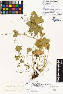 SW_BNB_s3070-00151_IMG-0000000001