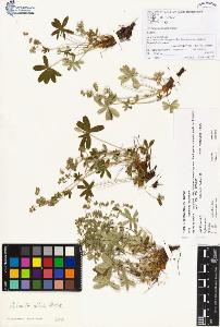 SW_BNB_s3070-00153_IMG-0000000001