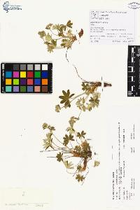 SW_BNB_s3070-00154_IMG-0000000001