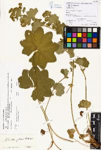 SW_BNB_s3070-00158_IMG-0000000001
