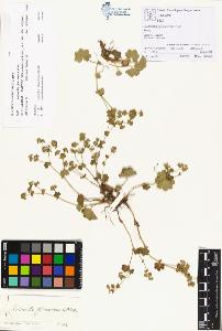 SW_BNB_s3070-00159_IMG-0000000001