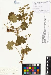 SW_BNB_s3070-00160_IMG-0000000001