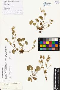 SW_BNB_s3070-00161_IMG-0000000001