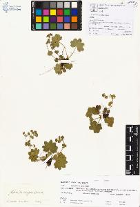 SW_BNB_s3070-00166_IMG-0000000001
