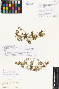 SW_BNB_s3070-00172_IMG-0000000001