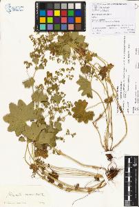 SW_BNB_s3070-00174_IMG-0000000001