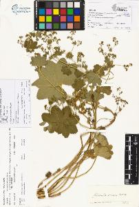 SW_BNB_s3070-00175_IMG-0000000001