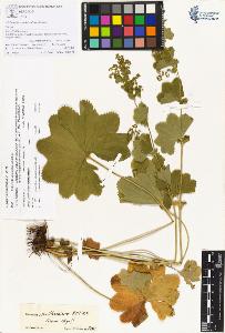 SW_BNB_s3070-00176_IMG-0000000001