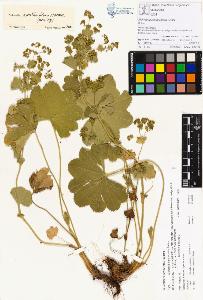 SW_BNB_s3070-00177_IMG-0000000001