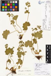 SW_BNB_s3070-00178_IMG-0000000001