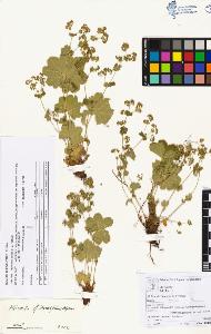 SW_BNB_s3070-00179_IMG-0000000001