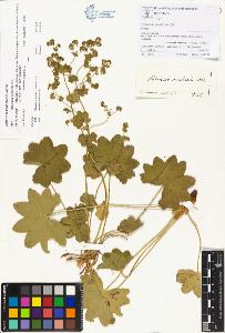 SW_BNB_s3070-00180_IMG-0000000001