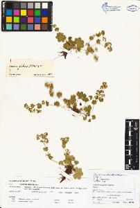 SW_BNB_s3070-00181_IMG-0000000001