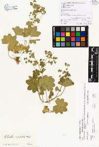 SW_BNB_s3070-00182_IMG-0000000001