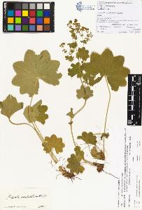 SW_BNB_s3070-00183_IMG-0000000001
